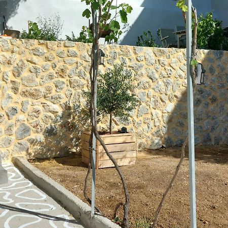 Rustic Private Cottage W/ King Bed In Galanado Naxos Εξωτερικό φωτογραφία