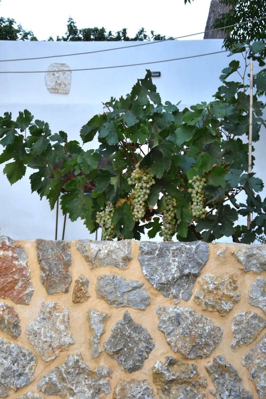 Rustic Private Cottage W/ King Bed In Galanado Naxos Δωμάτιο φωτογραφία